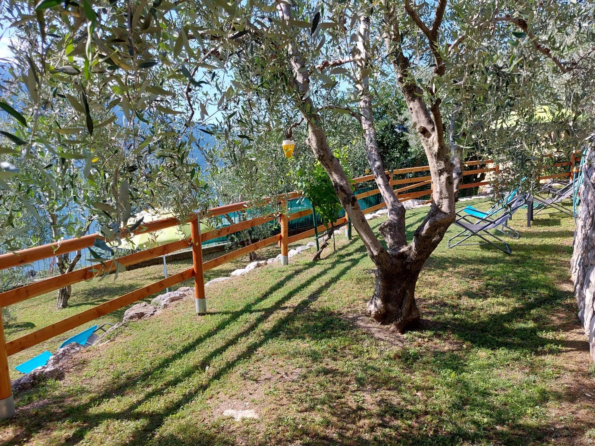 Ulivi Sul Garda Garden By Gardadomusmea Appartement Tremosine Buitenkant foto