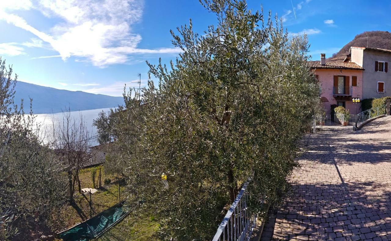 Ulivi Sul Garda Garden By Gardadomusmea Appartement Tremosine Buitenkant foto